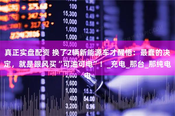 真正实盘配资 换了2辆新能源车才醒悟：最蠢的决定，就是跟风买“可油可电”！_充电_那台_那纯电